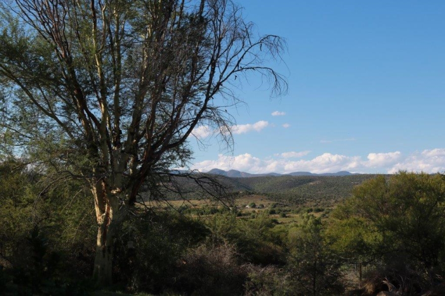  Bedroom Property for Sale in Oudtshoorn Rural Western Cape